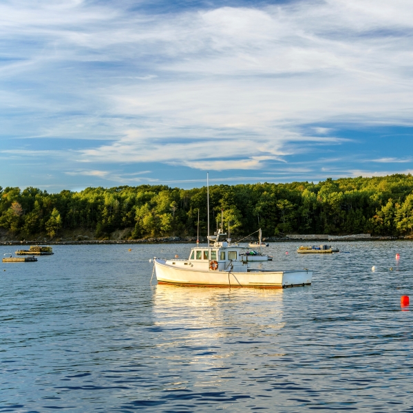 boats in water