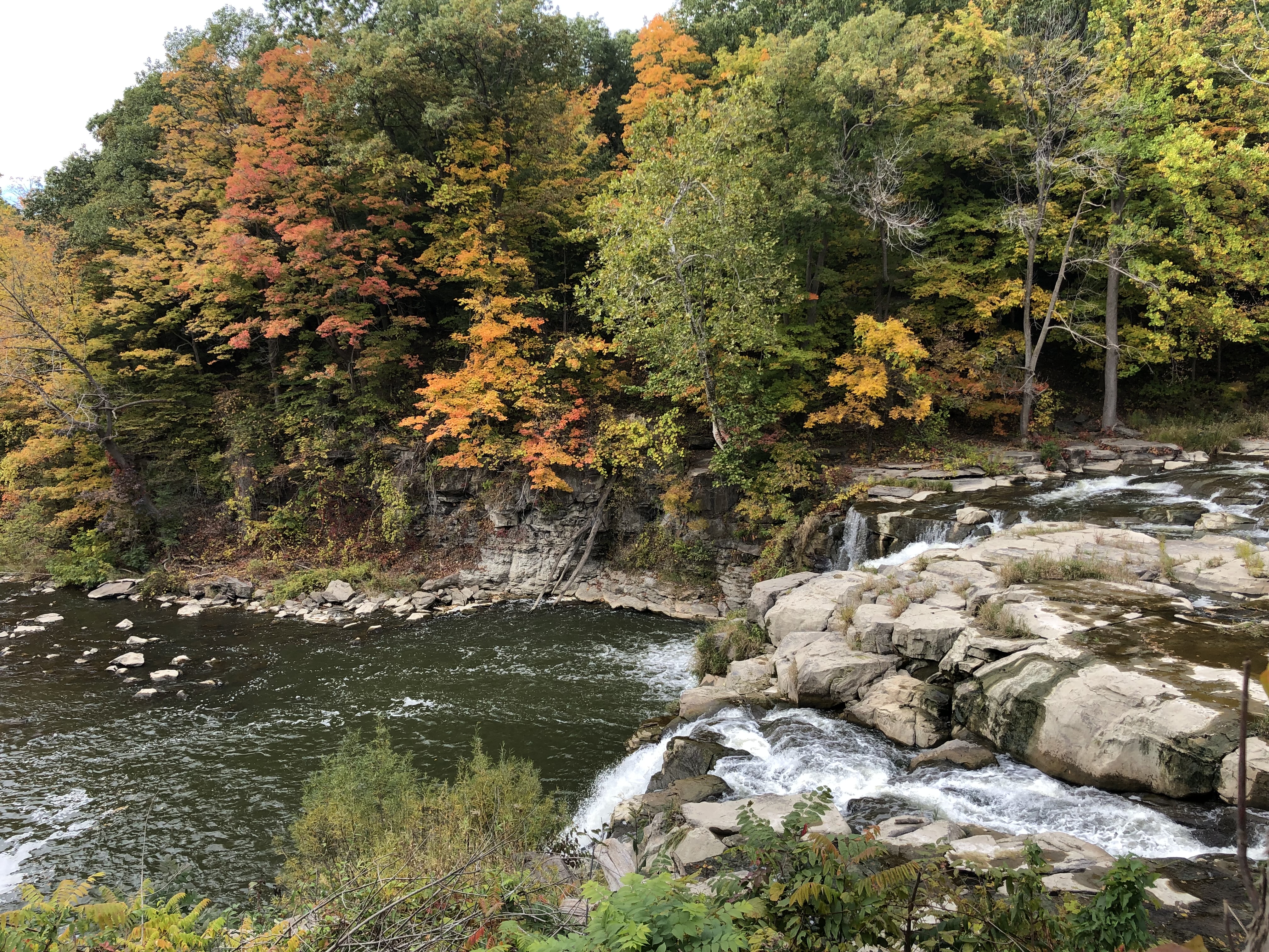 fall foliage in ny