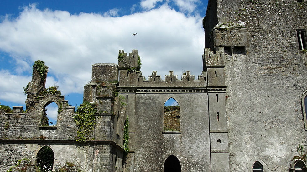 Leap Castle. Photo courtesy of Nikki Gensert/iStock.com